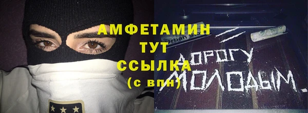 индика Горняк