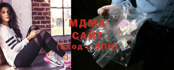 индика Горняк
