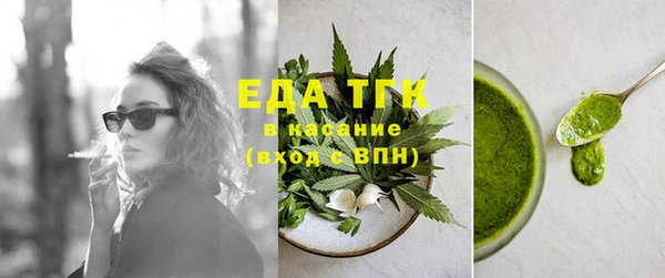 индика Горняк