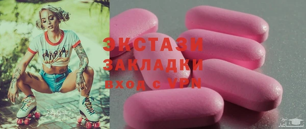 индика Горняк