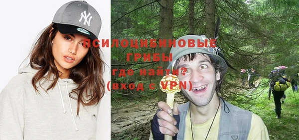 стаф Горно-Алтайск