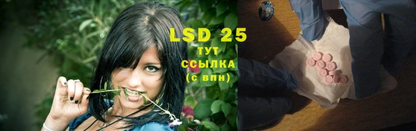 индика Горняк