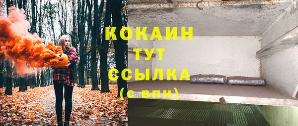 стаф Горно-Алтайск