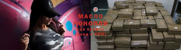 индика Горняк