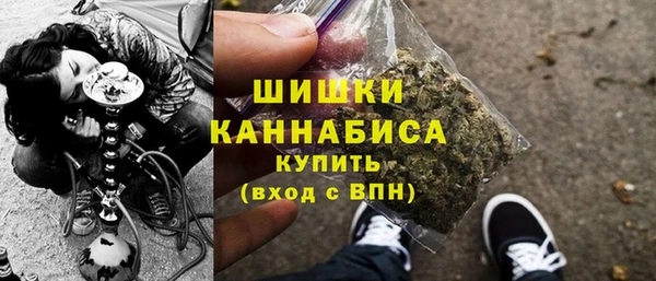 индика Горняк