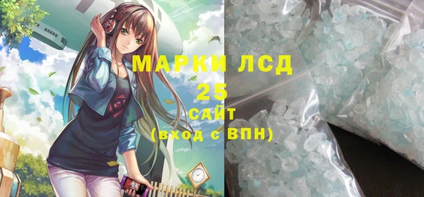 индика Горняк