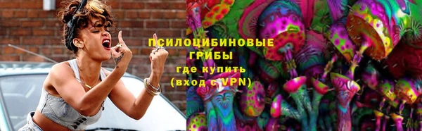 индика Горняк