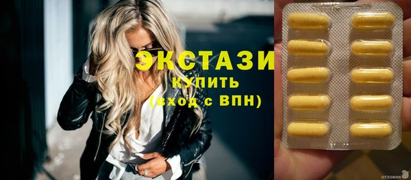 индика Горняк