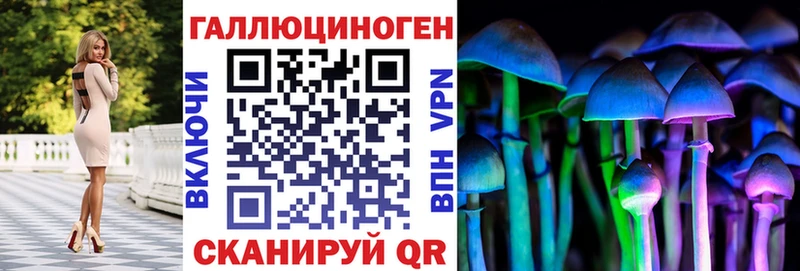 Галлюциногенные грибы Psilocybine cubensis  Купить закладки  Похвистнево 